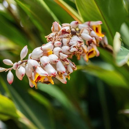 The Heart Stay - Airlie Beach Bagian luar foto